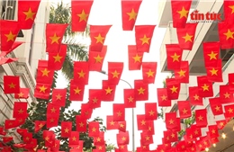 TP Hồ Chí Minh: Nhiều quán cà phê rực rỡ sắc cờ thu hút giới trẻ đến check-in