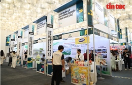 Mega Us Expo 2025 mở ra cánh cửa giao thương giữa doanh nghiệp Việt Nam và Hàn Quốc