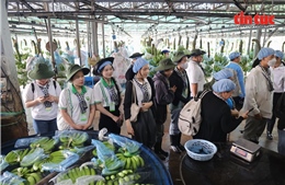 Sinh viên Lào, Campuchia trải nghiệm nông nghiệp công nghệ cao tại TP Hồ Chí Minh