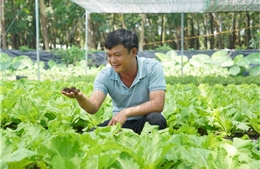 Nông nghiệp đô thị xanh từ những mô hình tái chế phụ phẩm