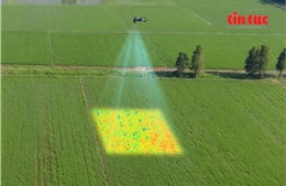 Nông nghiệp thông minh tạo đột phá từ chuyển đổi số