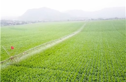 Phát triển nông nghiệp thông minh - Bài 1: Đột phá từ thể chế và chuyển đổi tư duy