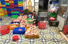 TP Hồ Chí Minh: Phát hiện điểm giết mổ gia cầm trái phép, buộc xử lý gần 1 tấn gà