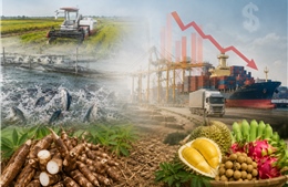 Nông sản Việt 2026 - Bài 2: Từ nỗi lo vùng nguyên liệu đến ‘vòng xoáy’ chi phí