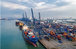 Nông sản Việt 2026 - Bài cuối: Lối thoát cho bài toán 73 tỷ USD