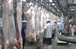 TP Hồ Chí Minh siết chặt quản lý kiểm dịch và giết mổ động vật