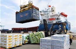 Xuất khẩu nông lâm thủy sản duy trì tăng trưởng tích cực