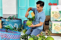 Nông sản Việt trước bước ngoặt chất lượng - Bài 1: Từ lợi thế sản lượng đến áp lực tiêu chuẩn