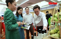 Nông sản, thủy sản Việt Nam trước sức ép tiêu chuẩn từ EU và Anh