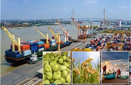 Tháo gỡ điểm nghẽn, mở đường cho xuất khẩu nông lâm thủy sản vượt 74 tỷ USD
