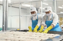 Gỡ điểm nghẽn cho xuất khẩu nông sản - Bài cuối: Đồng hành cùng doanh nghiệp