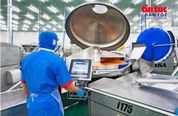Tạo đà cho nông sản Việt - Bài cuối: Hoàn thiện thể chế, phát huy vai trò doanh nghiệp