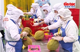 Tạo đà cho nông sản Việt - Bài 1: Đổi mới tư duy tăng trưởng