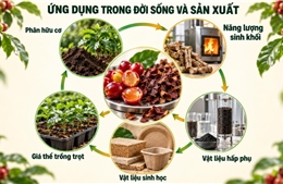 TP Hồ Chí Minh: Tận dụng phụ phẩm cà phê để tạo giá trị gia tăng