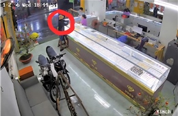 TP Hồ Chí Minh: Bắt nghi phạm cướp giật tiệm vàng sau chưa đầy 5 giờ gây án