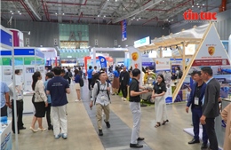 Đẩy mạnh ứng dụng AI trong ngành nuôi trồng thủy sản Việt Nam