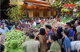 Lan tỏa yêu thương từ ‘siêu thị 0 đồng’ tại chùa Chandarangsay