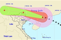 Vì sao bão số 6 đi lệch sang Trung Quốc mà không vào Việt Nam?