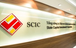 Hơn 2.674 tỷ đồng vốn nhà nước tại Tập đoàn Dệt may chuyển về SCIC quản lý