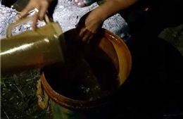 Hàng nghìn lít dầu bị rò rỉ ra cánh đồng Thanh Hóa