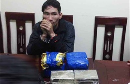 Đánh sập đường dây ma túy khủng xuyên quốc gia từ Lào vào Việt Nam