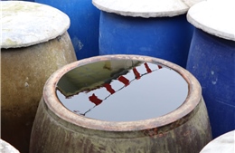 Thương hiệu nước mắm Phan Thiết - Bài 2: Sản xuất nước mắm theo chuỗi an toàn