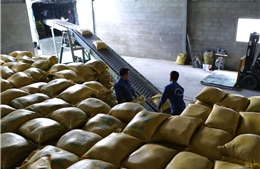 Philippines bỏ hạn ngạch nhập khẩu gạo, Việt Nam có thể hưởng lợi