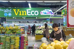 Doanh nghiệp Việt  &#39;tự định vị&#39; trên thị trường bán lẻ trong nước