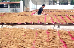 Gỡ khó cho doanh nghiệp xuất khẩu hương nhang sang Ấn Độ