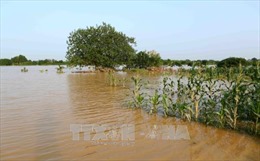 Mực nước sông Hồng tại Hà Nội sẽ lên nhanh, cảnh báo nguy cơ ngập lụt