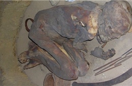 Tìm ra công thức ướp xác của người Ai Cập cổ đại