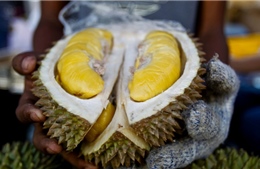 Có gì trong trái sầu riêng giá 23 triệu đồng?