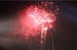 Người dân An Giang, Đồng Tháp rộn ràng đón Tết Kỷ Hợi 