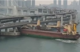 Thuyền trưởng say rượu, tàu chở hàng đâm vào chân cầu