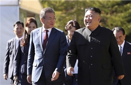 Tổng thống Hàn Quốc tới Mỹ, Chủ tịch Triều Tiên Kim Jong-un sắp thăm Nga