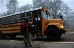Kinh nghiệm của các nước để tránh bỏ quên học sinh trên xe buýt