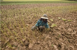 Thủ tướng Thái Lan đề xuất không thu phí nước ở vùng hạn
