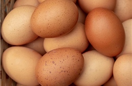 Người đàn ông tử vong do ăn hơn 40 quả trứng