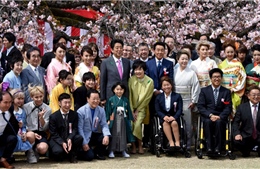 Lý do Thủ tướng Nhật Bản hủy tổ chức tiệc ngắm hoa anh đào 2020