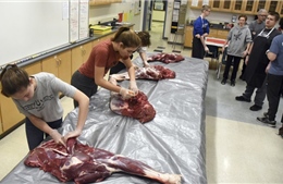 Học sinh Mỹ tận tay xẻ thịt nai trong lớp học kỹ năng sống