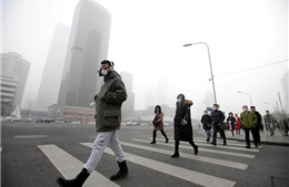 Kinh nghiệm xử lý ô nhiễm không khí của các thành phố trên thế giới