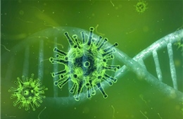 Brazil phát hiện virus mới bí ẩn với loại gen chưa từng được ghi nhận