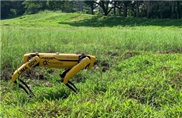 Singapore triển khai chó robot giám sát giãn cách xã hội