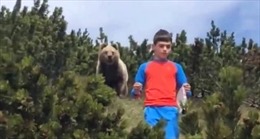 Cậu bé bình tĩnh kỳ lạ khi gấu nâu to lớn bám sát trên núi