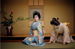 Geisha Nhật Bản bất an vì dịch COVID-19