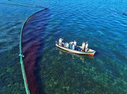Thảm họa tràn dầu đe dọa nghiêm trọng sinh thái biển Mauritius