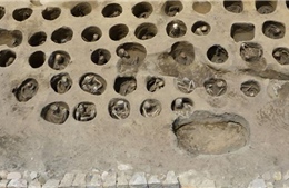 Phát hiện mộ tập thể chôn người chết vì dịch bệnh từ thế kỷ 19 tại Nhật Bản