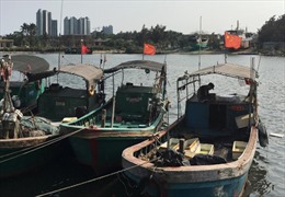 Kyodo đưa tin Trung Quốc yêu cầu ngư dân không đánh bắt gần quần đảo Senkaku/Điếu Ngư