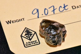 Giám đốc ngân hàng tìm thấy kim cương 9,07 carat ở công viên Mỹ