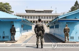 Hai miền Triều Tiên sắp nối lại hoạt động du lịch tại làng đình chiến